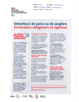 2025 06 03 PAD T3 Peste porcine africaine P